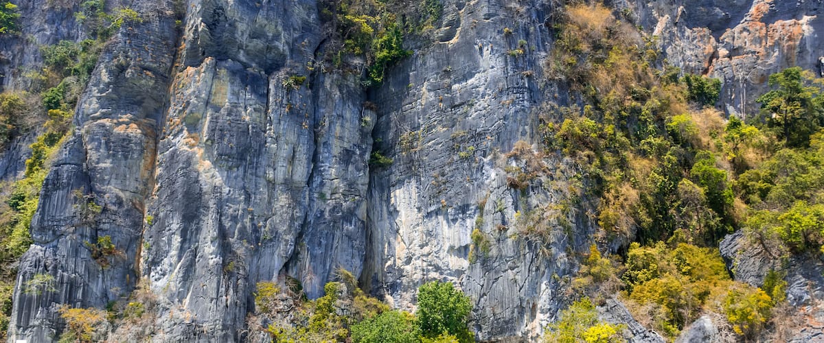 Monkey Bay from the boat - Monkey Island - Thailand ; Shutterstock ID 556573177; Purchase Order: SP-2451; Order Number: Image Research - Ko Phi Phi 2020; Client/Licensee: Hotels.com - Lee Ban Twan; Jo