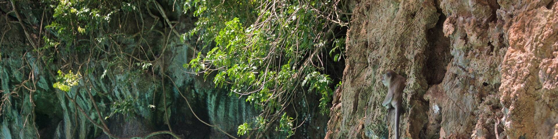 Krabi Province featuring tropical scenes and rocky coastline