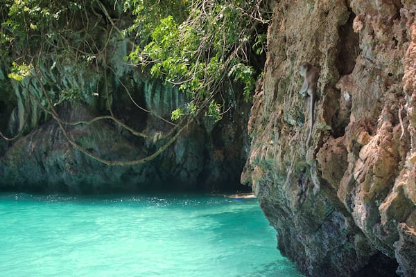 クラビー フィーチャー 岩の多い海岸線 と 常夏の風景