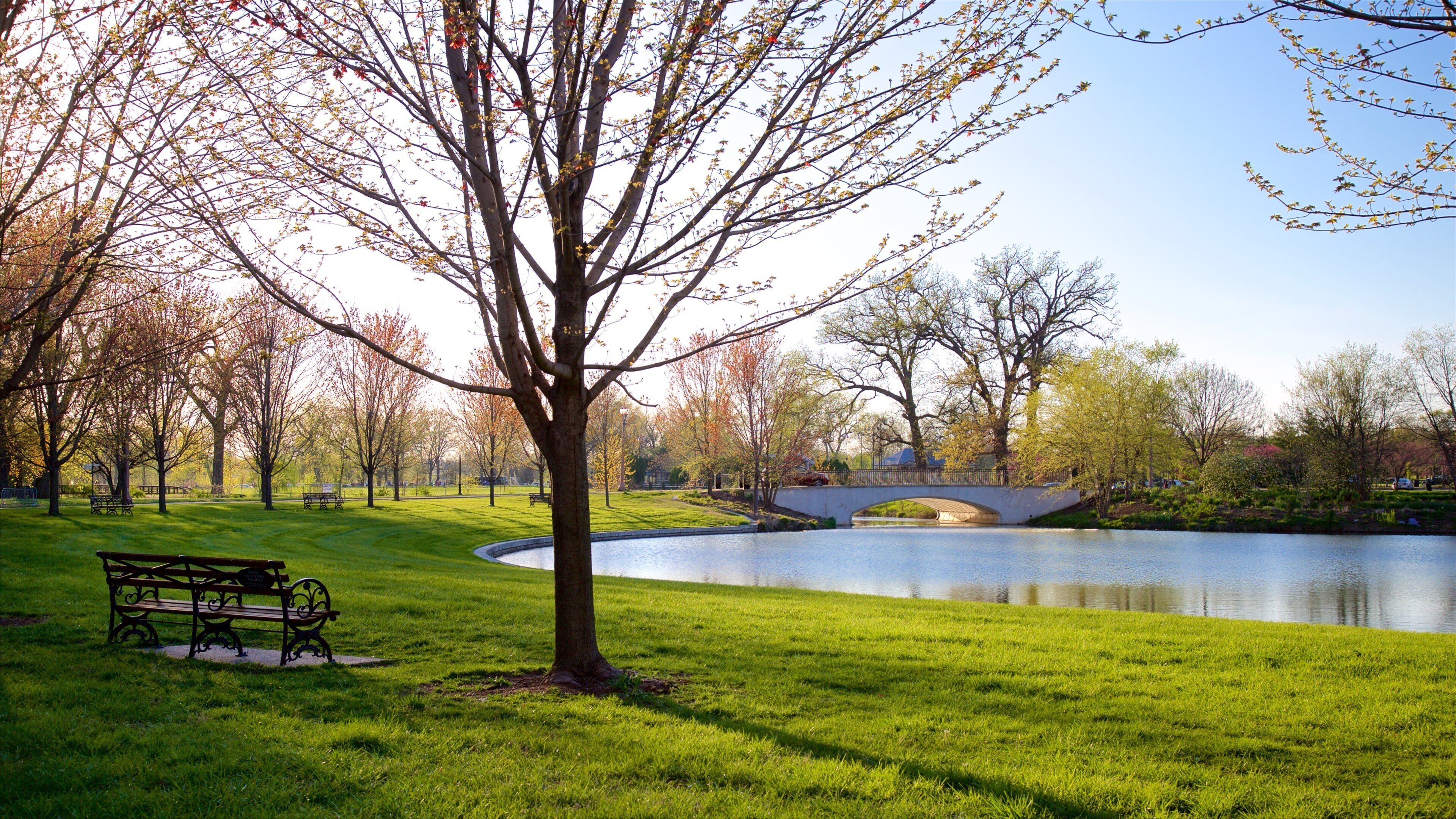 Pagoda Circle featuring a pond, a bridge and a garden