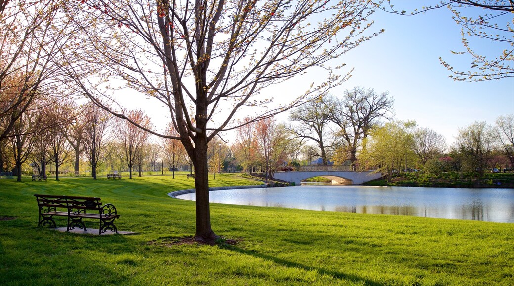 Pagoda Circle featuring a pond, a bridge and a garden