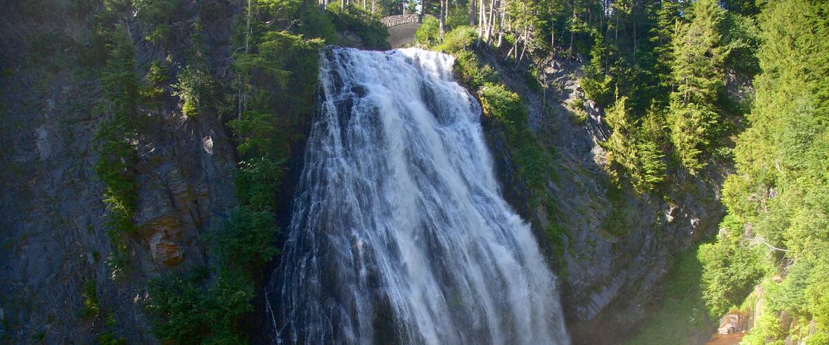 Narada Falls which includes a cascade