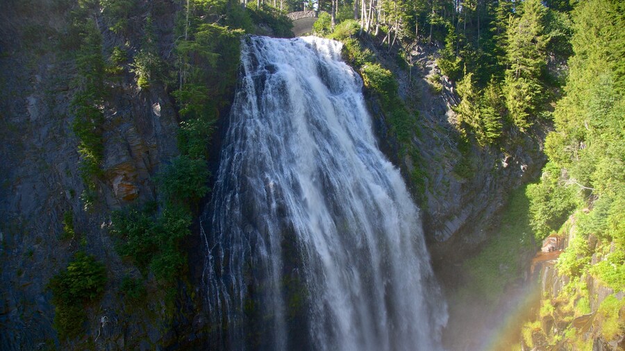 Narada Falls which includes a cascade