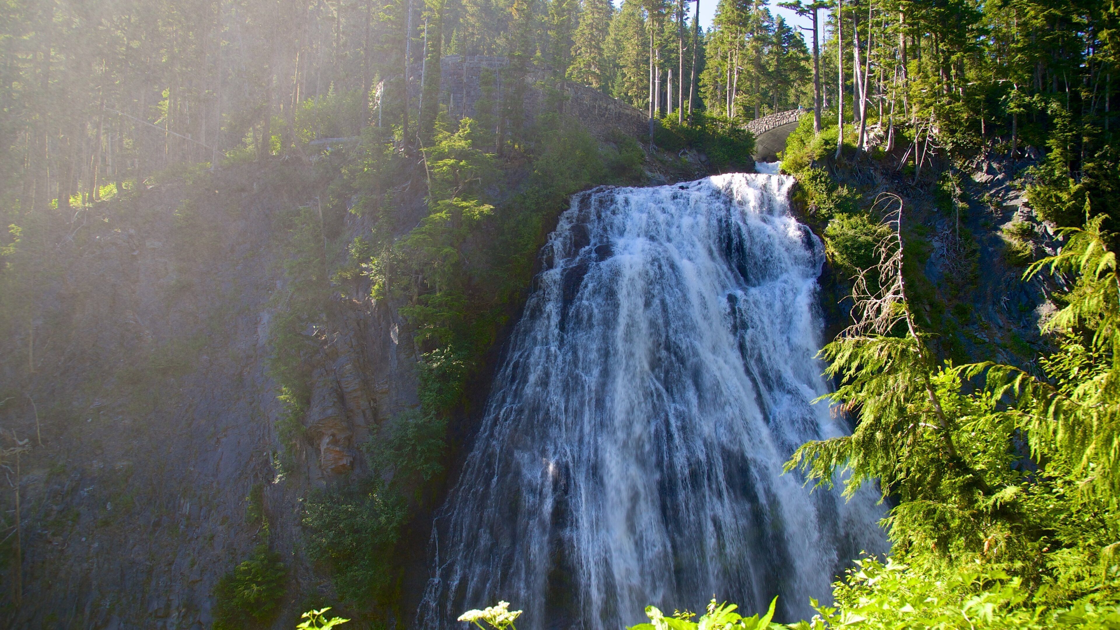 Narada Falls featuring a waterfall