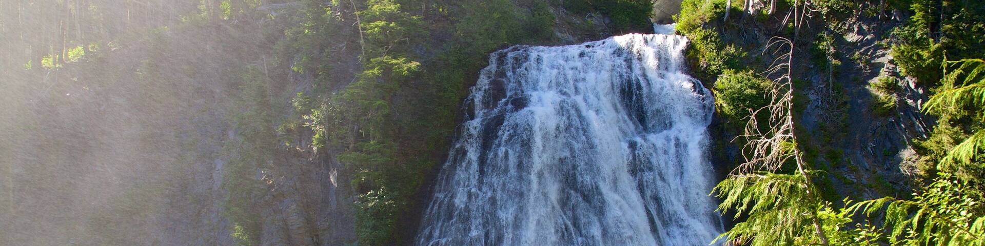 A waterfall surrounded by dense forest.