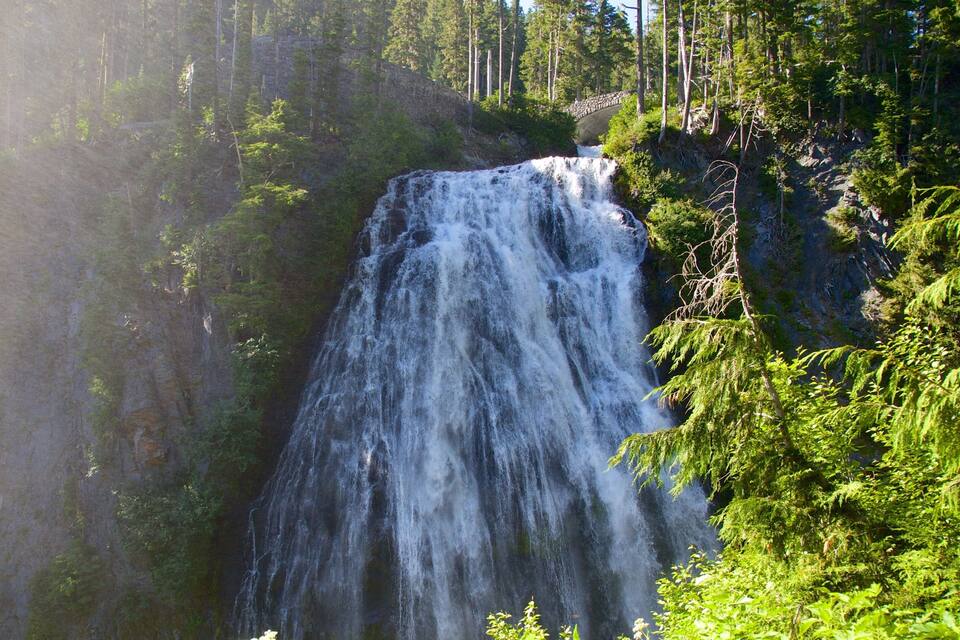 A waterfall surrounded by dense forest.