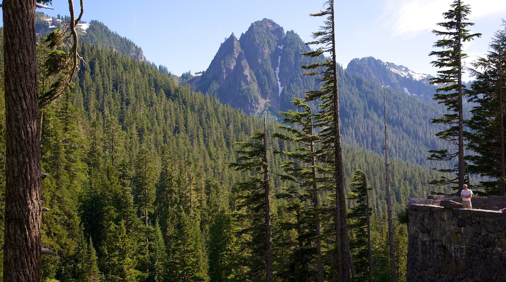 Ashford featuring forest scenes and landscape views