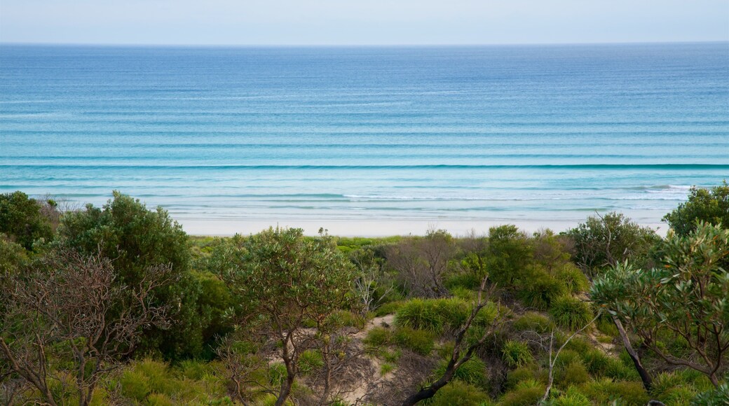 Cave Beach featuring forest scenes and waves