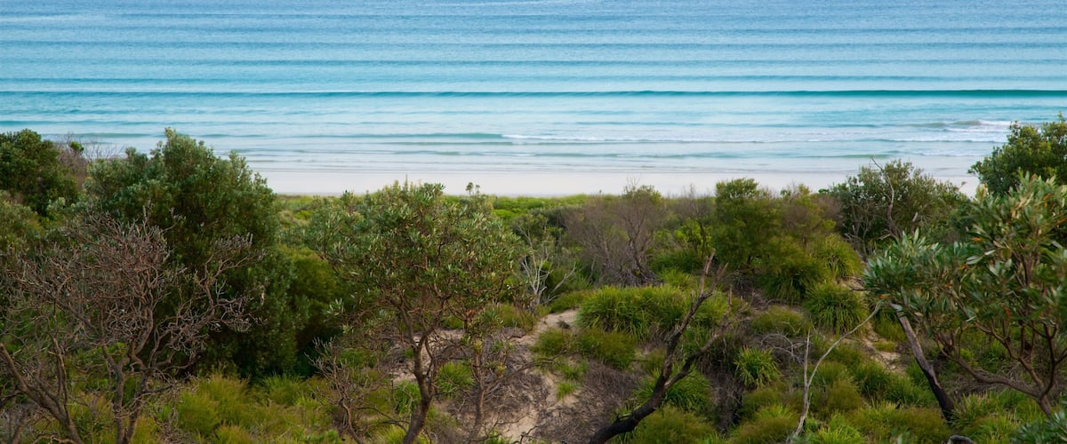 Cave Beach featuring forest scenes and waves