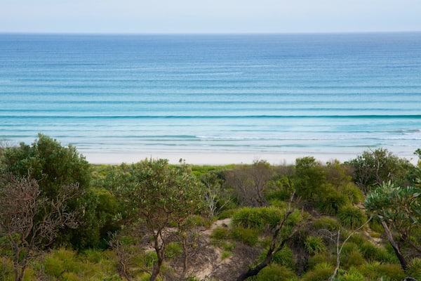 A coastal landscape with a sandy beach, dense green vegetation, and a calm sea.