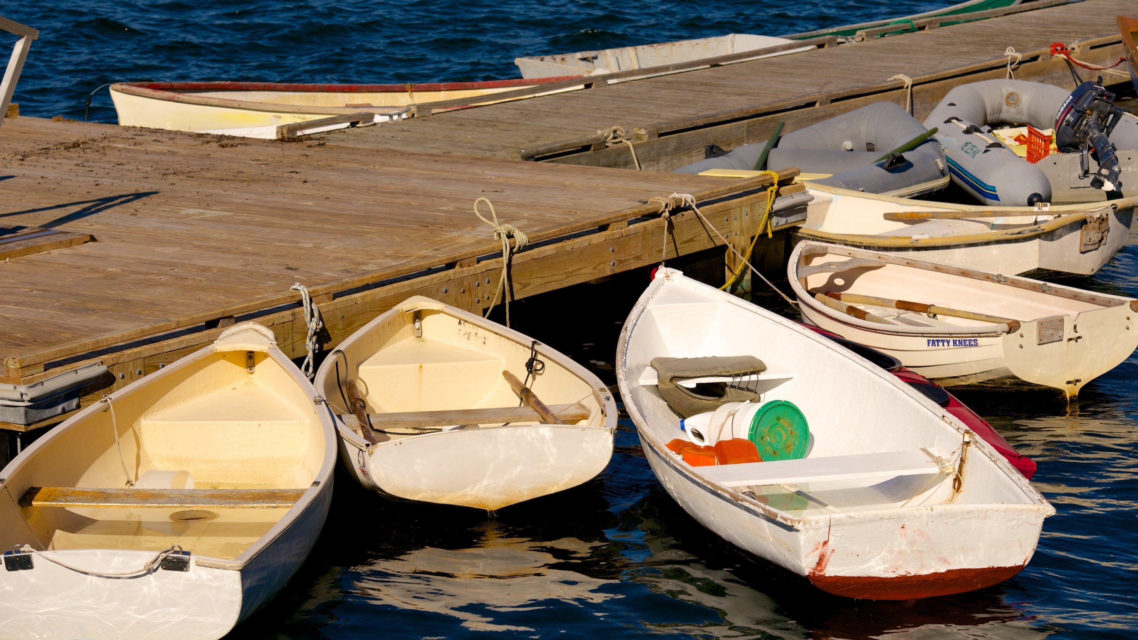 바 하버 을 보여주는 일반 해안 전경 과 보트 타기