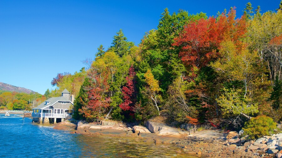 Bar Harbor showing general coastal views