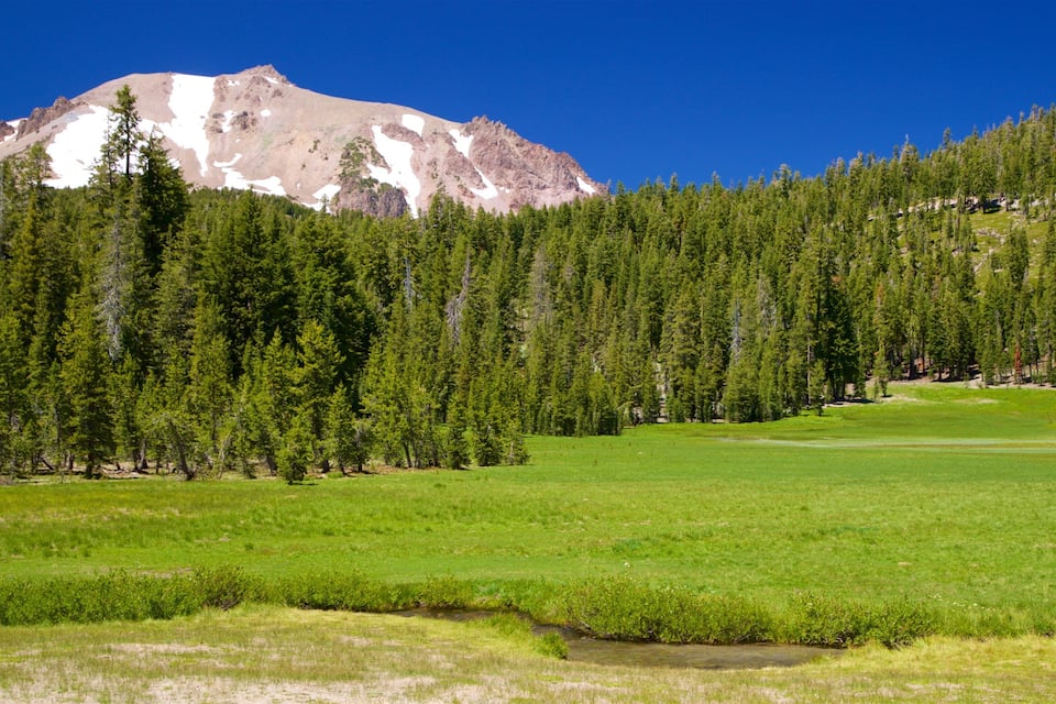 A mountain with snow patches, a dense forest, and a green field.