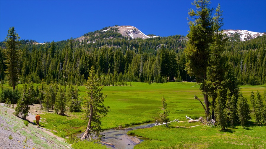 Upper Meadow featuring landscape views, a lake or waterhole and forest scenes