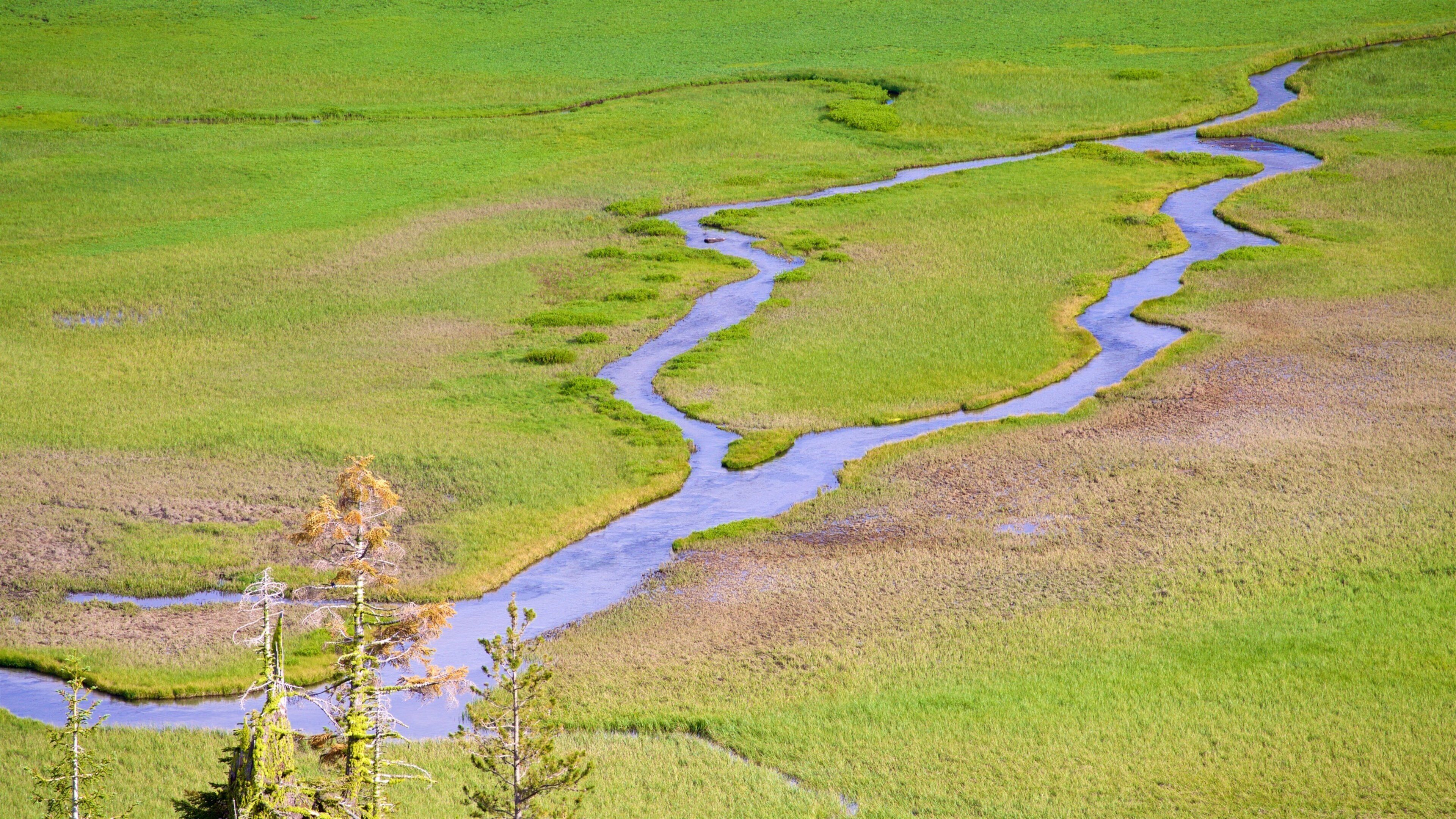 Mill Creek showing tranquil scenes and a river or creek