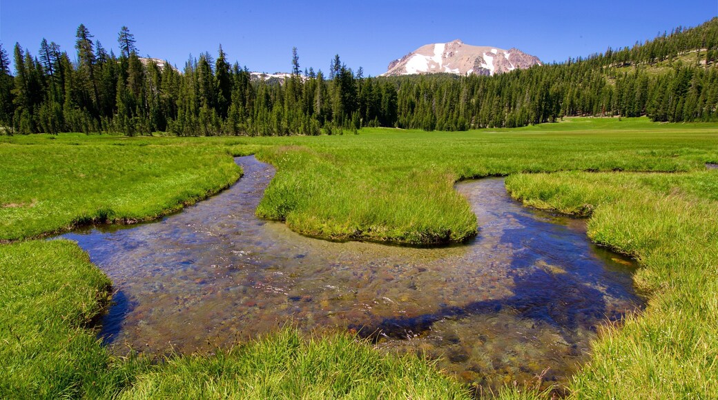 Mill Creek presenterar en Ă„ eller flod, skogar och stillsam natur
