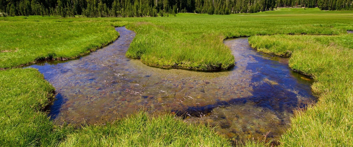 Mill Creek