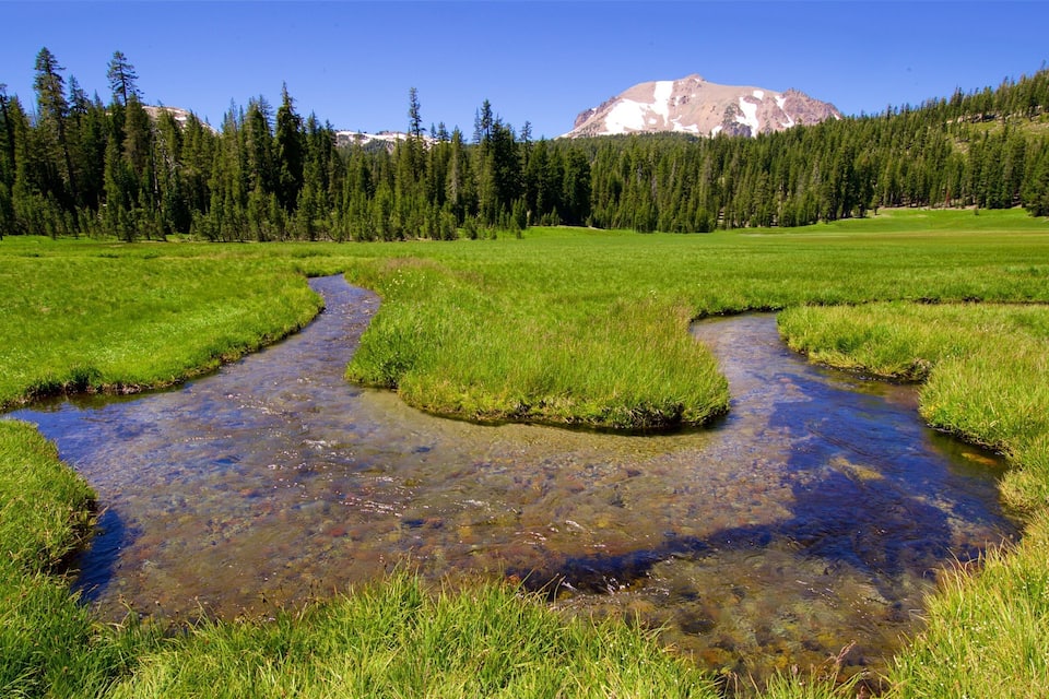 A clear stream meandering through a grassy field with a forest and a mountain in the background.