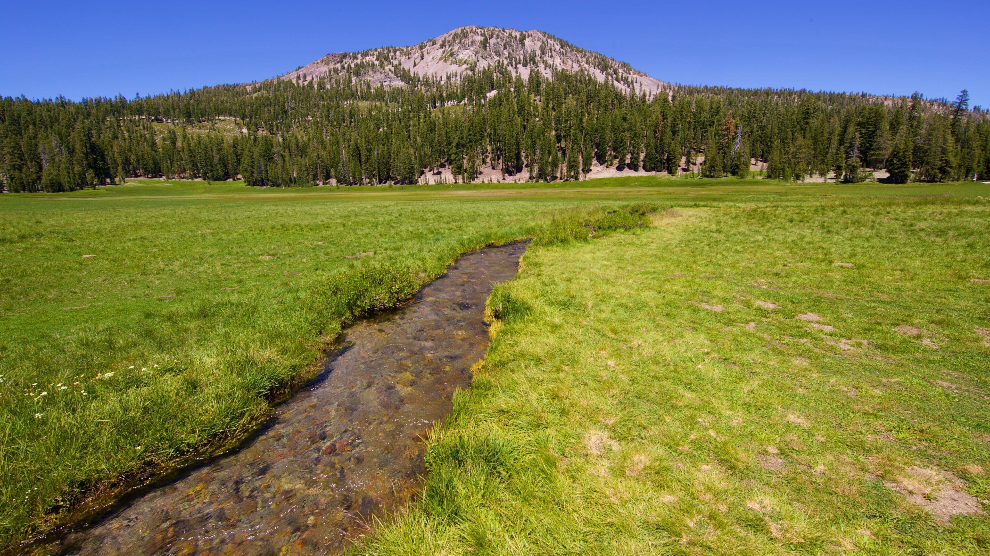 A clear stream meandering through a grassy field with a mountain in the background.
