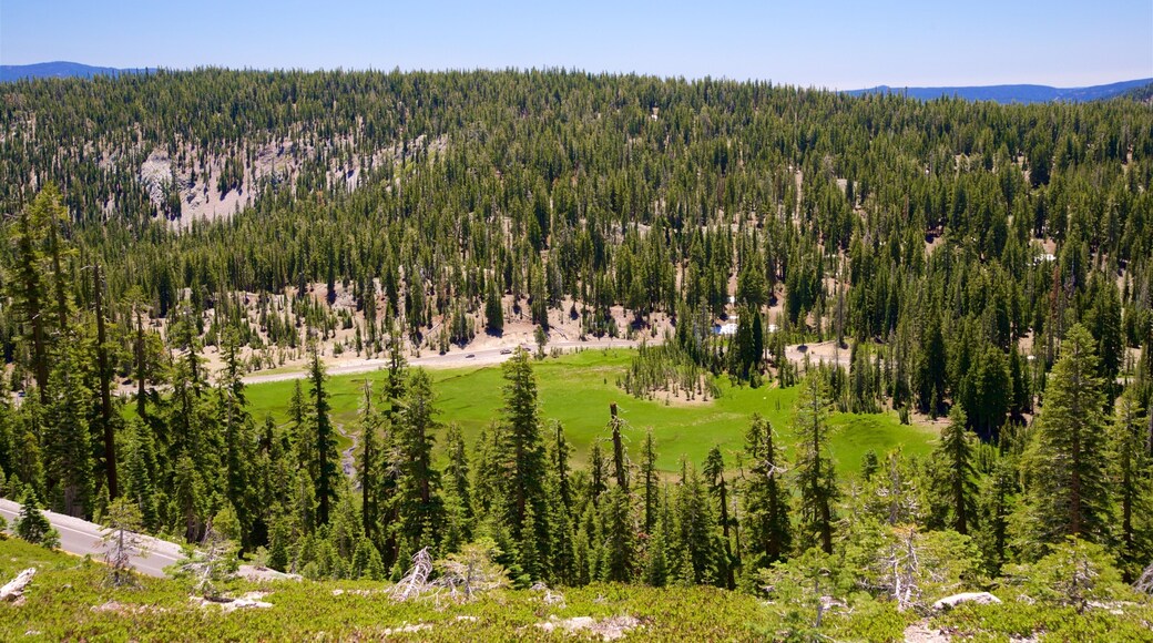Upper Meadow showing forests, a lake or waterhole and landscape views