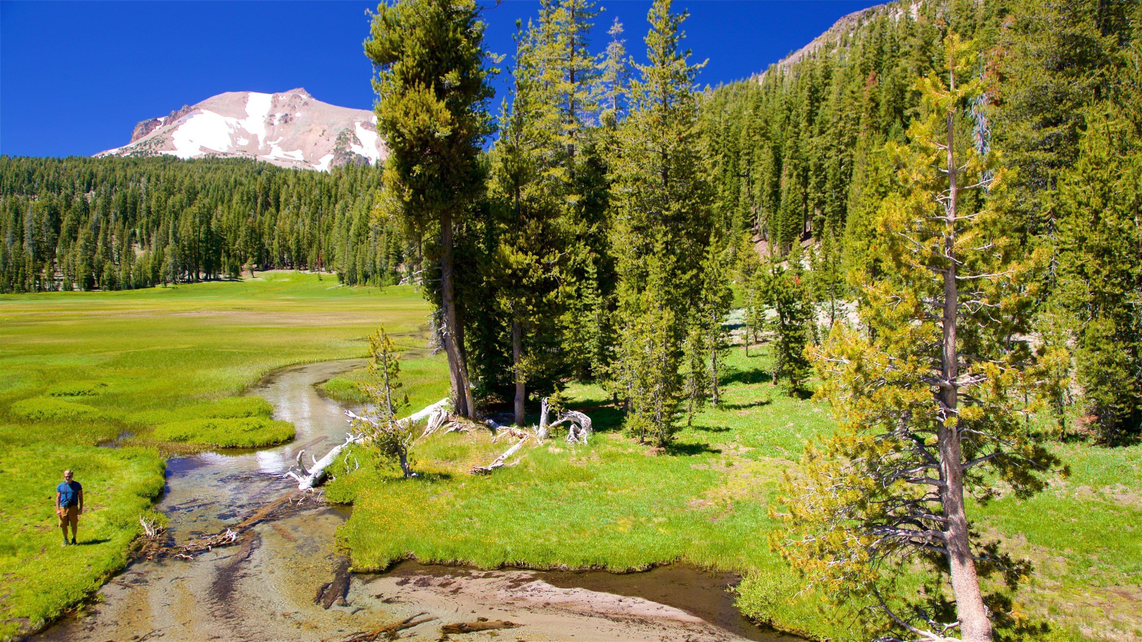 A river flowing through a grassy valley with a mountain in the background.