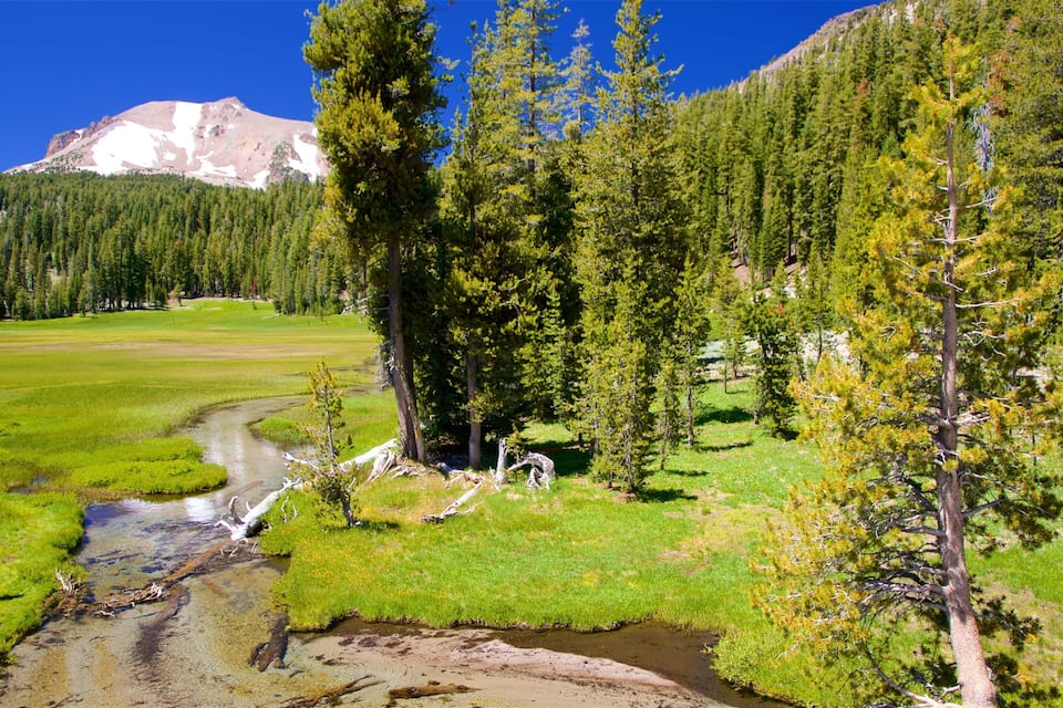 A river flowing through a grassy valley with a mountain in the background.
