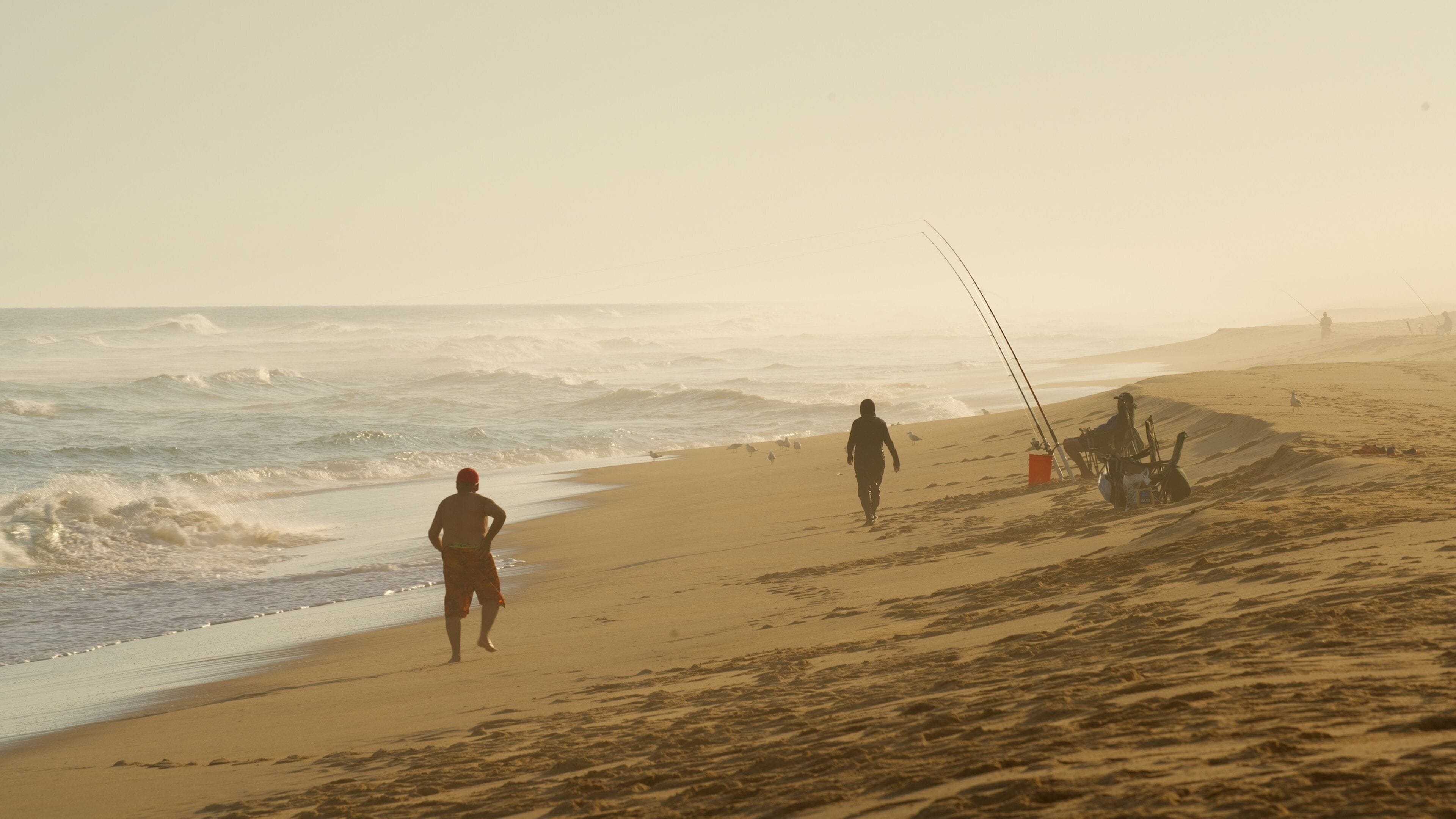 Gippsland which includes fishing, a sandy beach and surf