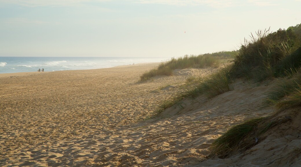 Gippsland joka esittÀÀ yleiset rantanÀkymÀt ja hiekkaranta
