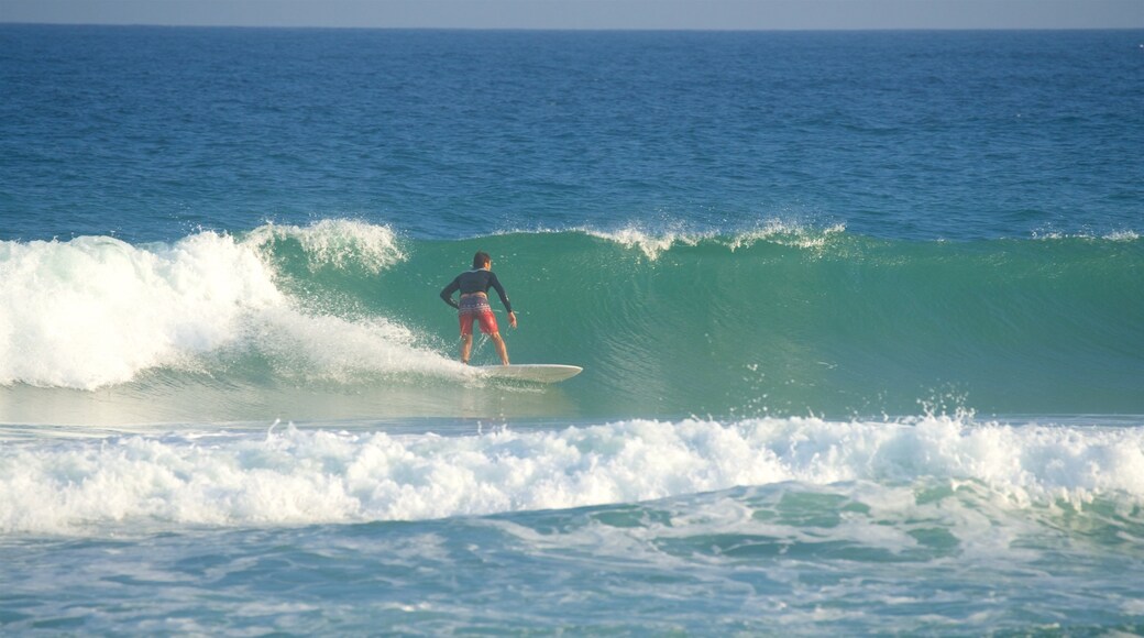 Eastern Beach which includes waves, surfing and general coastal views