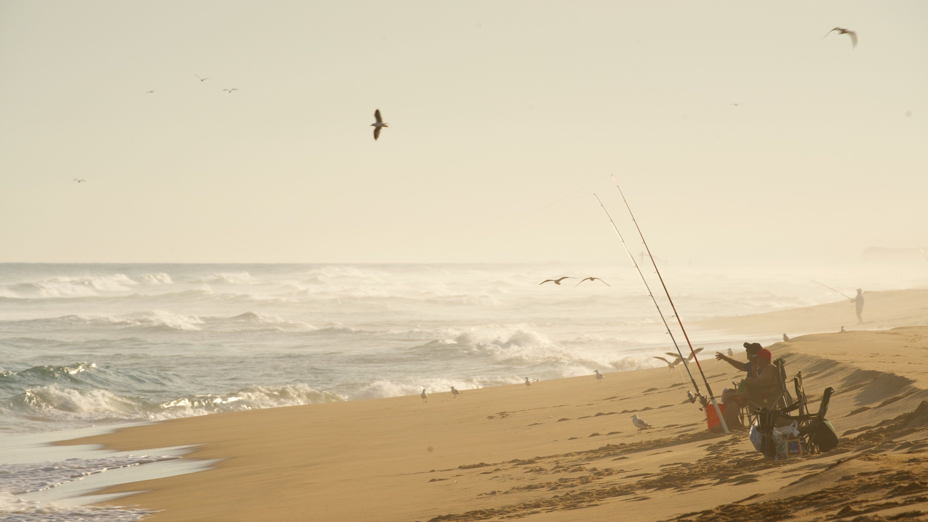 Eastern Beach featuring fishing, bird life and a bay or harbor
