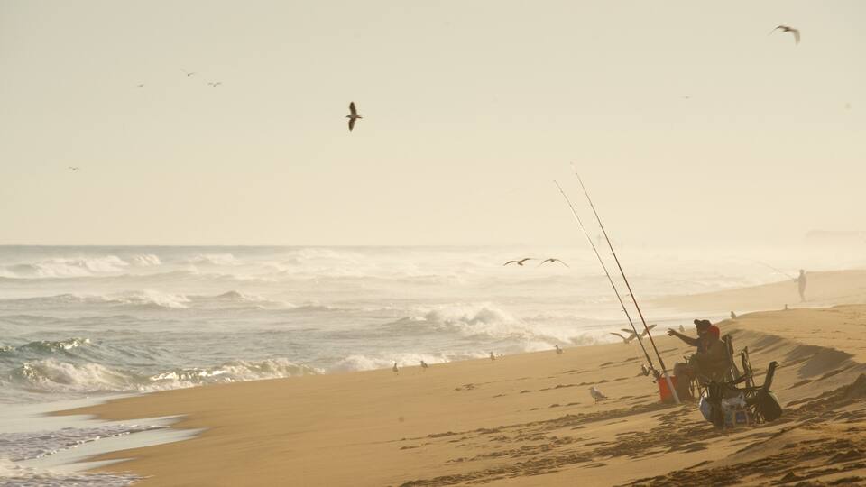 A beach with waves, a person fishing, and seagulls.