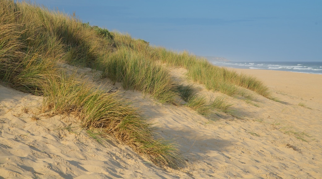 Gippsland showing a bay or harbour and a sandy beach