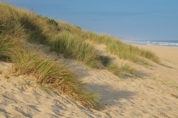 Gippsland featuring a sandy beach and a bay or harbor