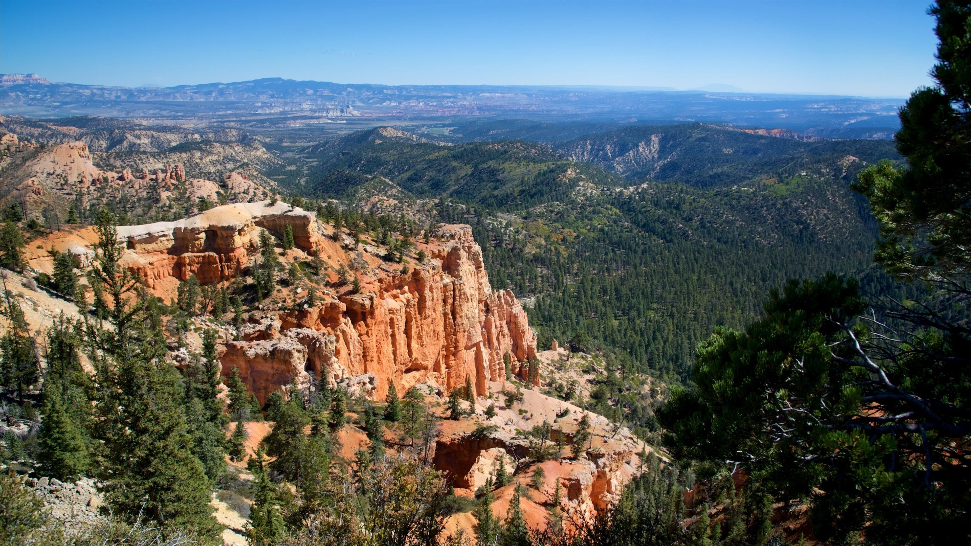 Fairview Point showing a gorge or canyon, desert views and tranquil scenes