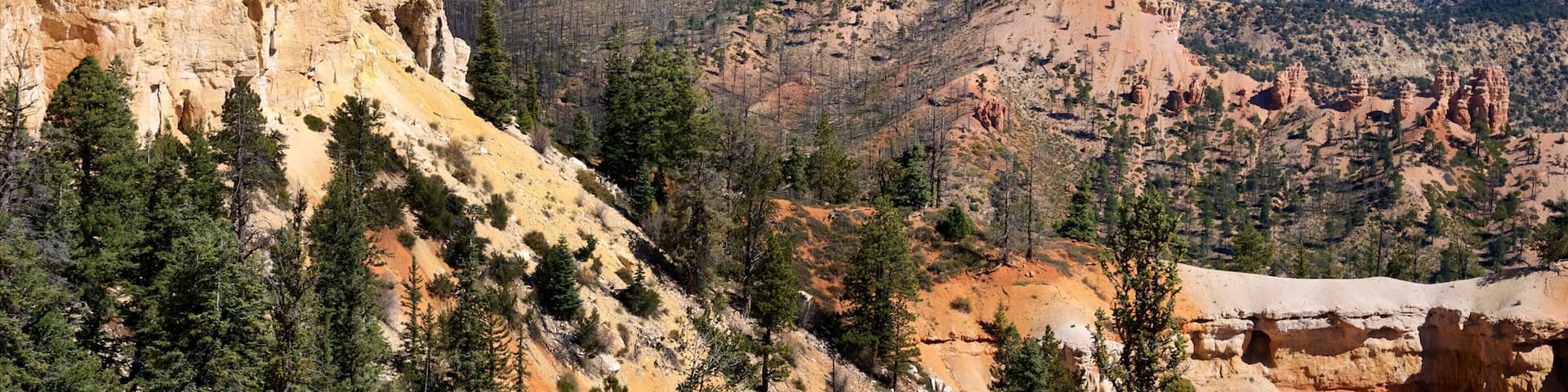 Tropic which includes tranquil scenes, landscape views and a gorge or canyon