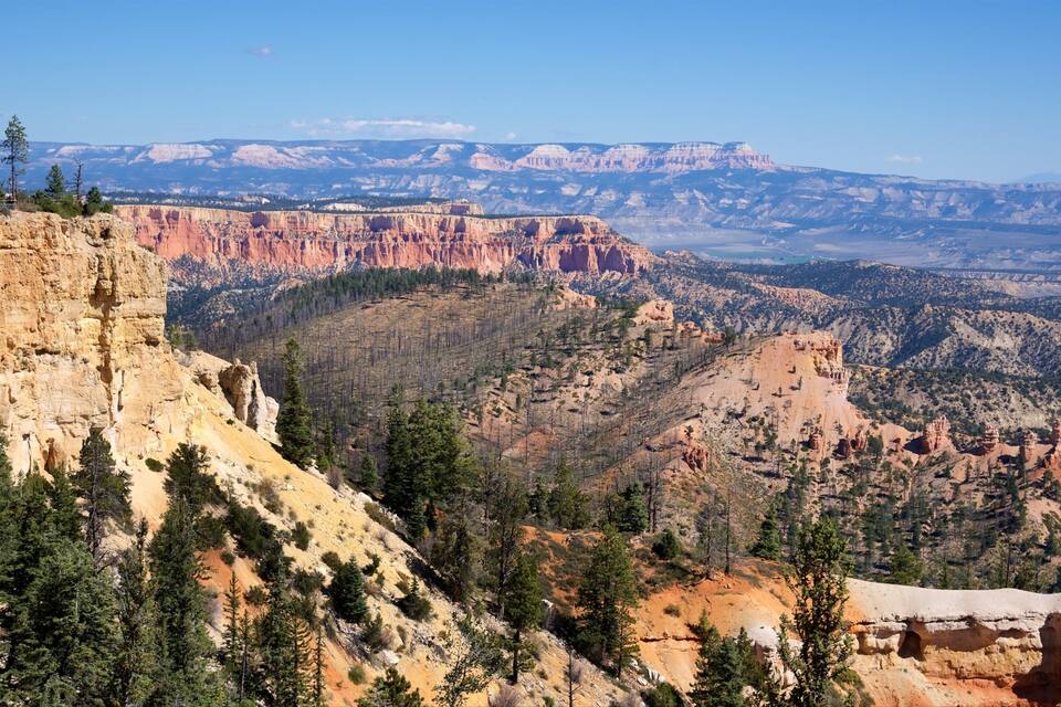 A canyon with red rock formations and sparse trees.