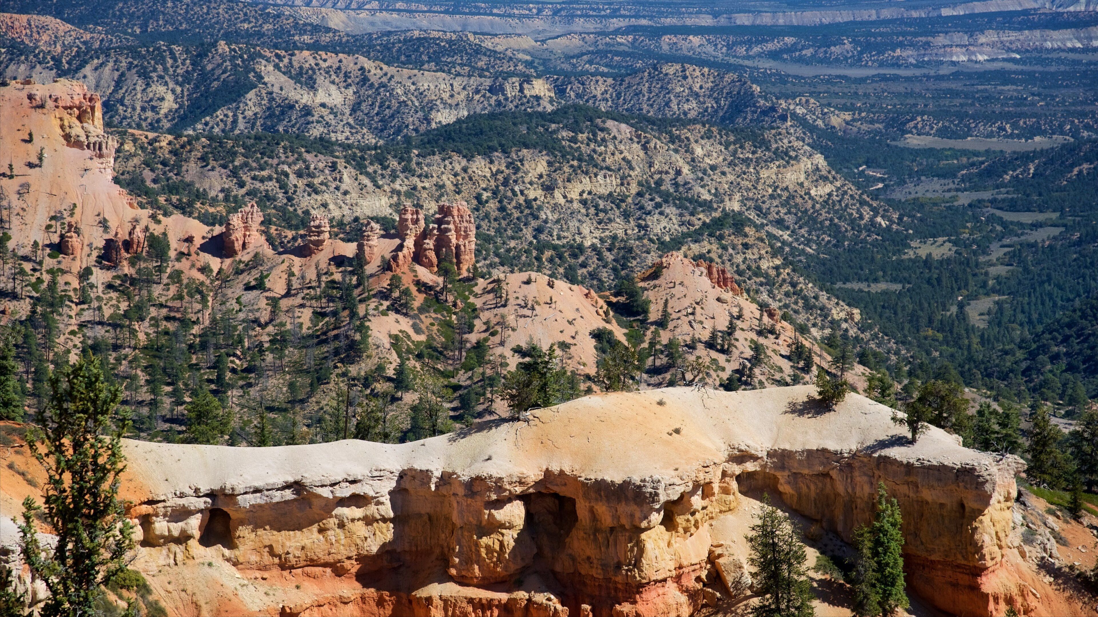 트로픽 을 특징 계곡 또는 협곡, 한적한 풍경 과 풍경