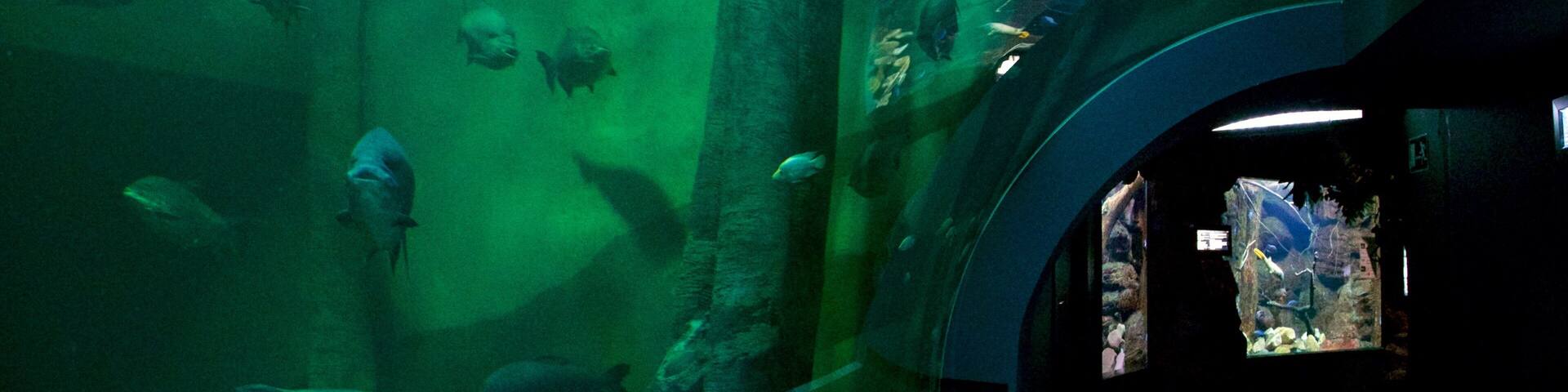 New Aquarium Zaragoza