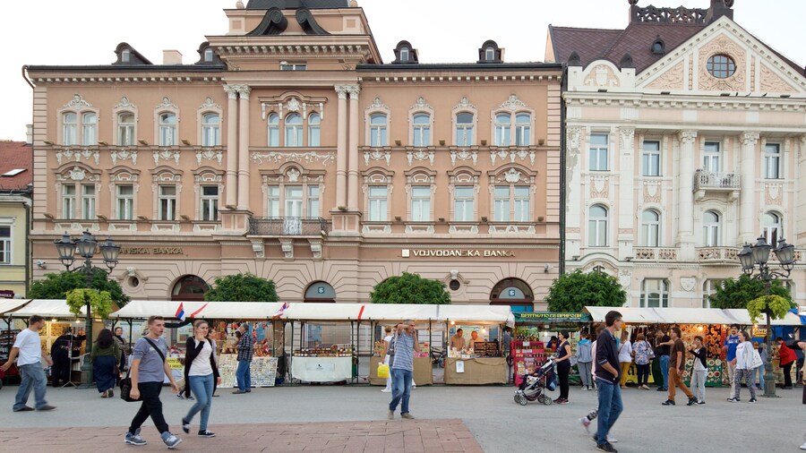Novi Sad featuring street scenes, heritage architecture and markets