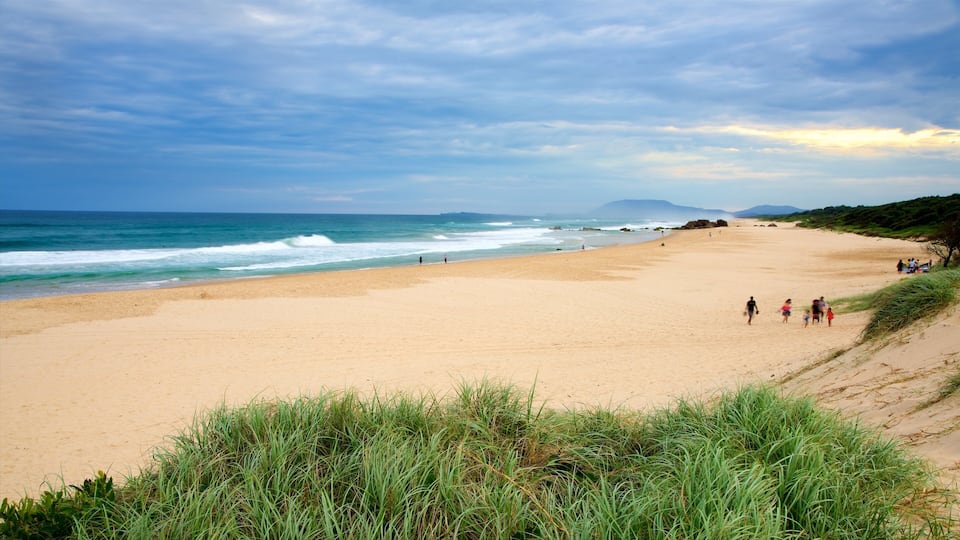 A wide sandy beach with gentle waves, grassy dunes, and a clear sky.