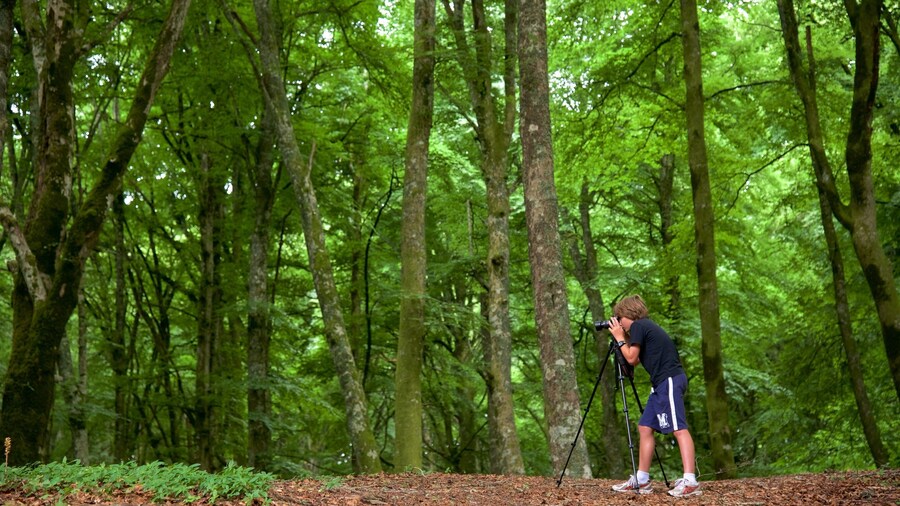 Soriano nel Cimino ofreciendo bosques y también un niño