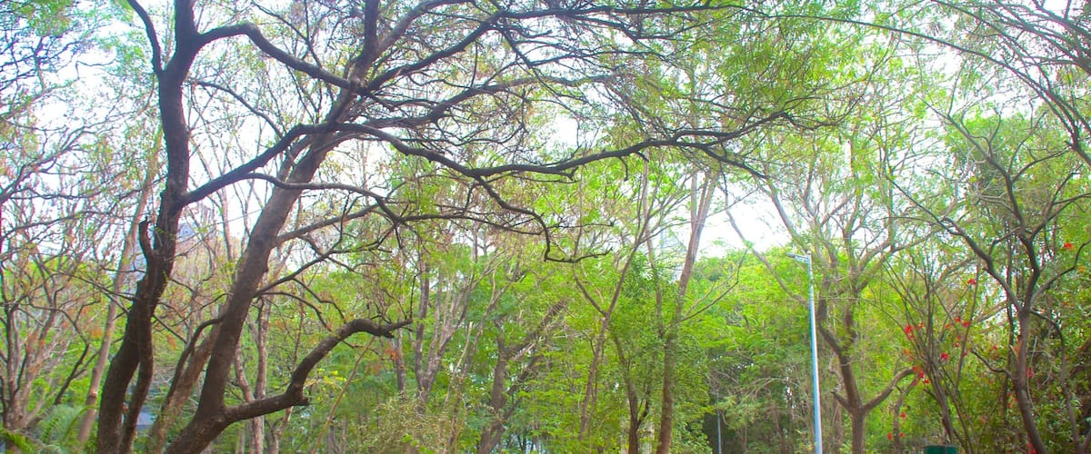 Pune toont een tuin en landschappen