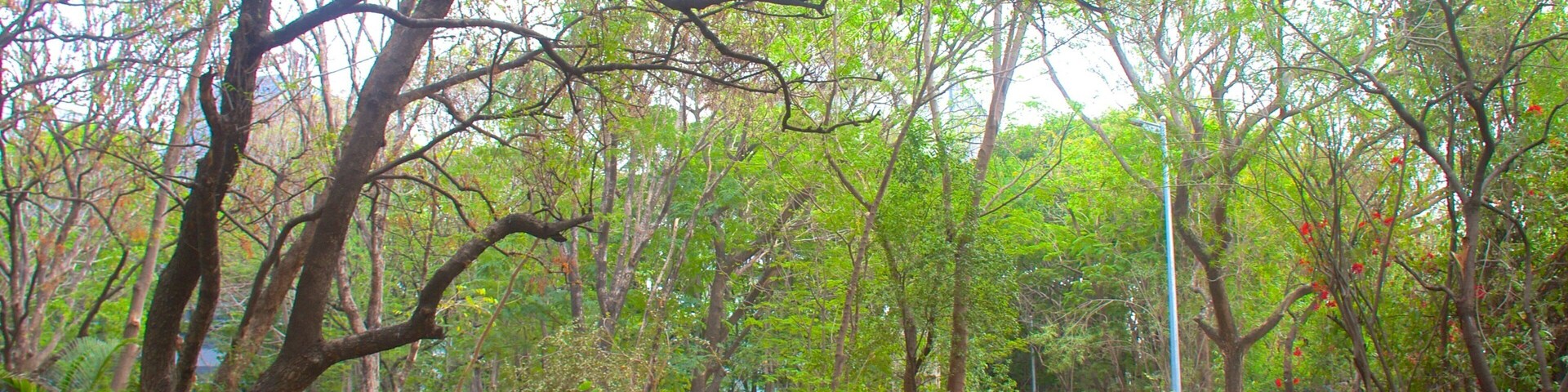 Pune which includes landscape views and a park