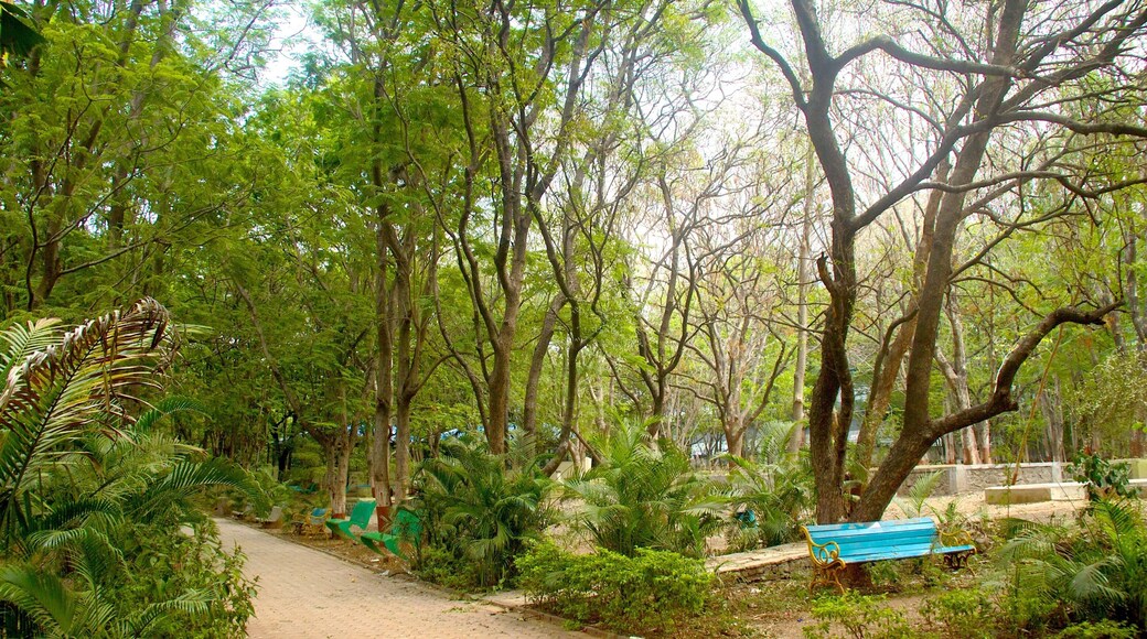 Pune showing a park