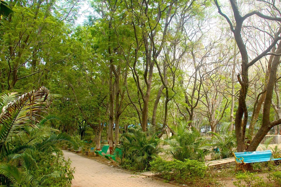 A forested area with a dirt path, green chairs, and a blue bench.