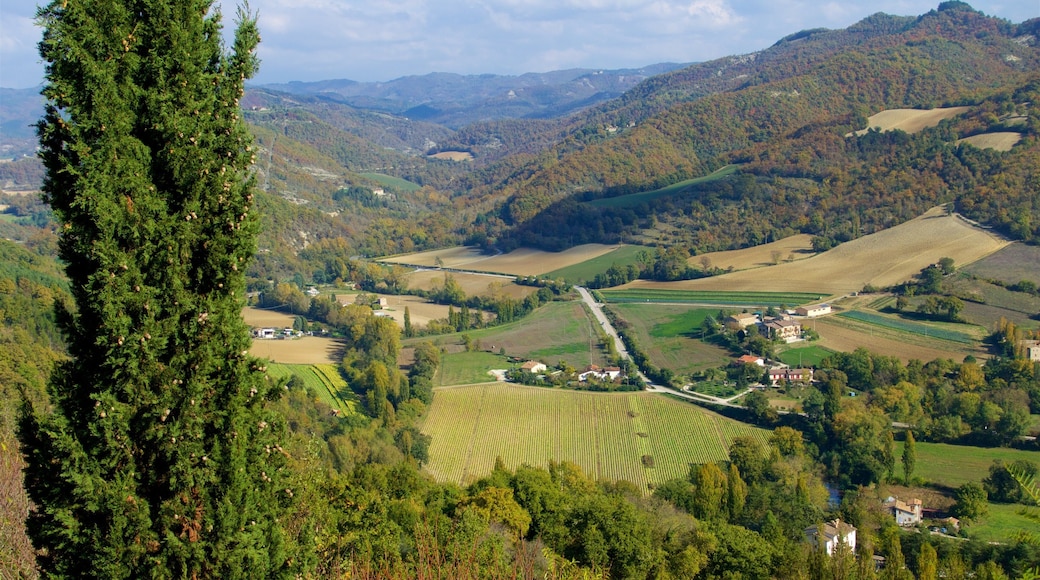 Montone showing tranquil scenes