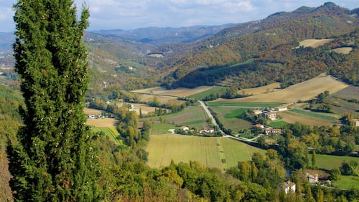 Montone ofreciendo escenas tranquilas