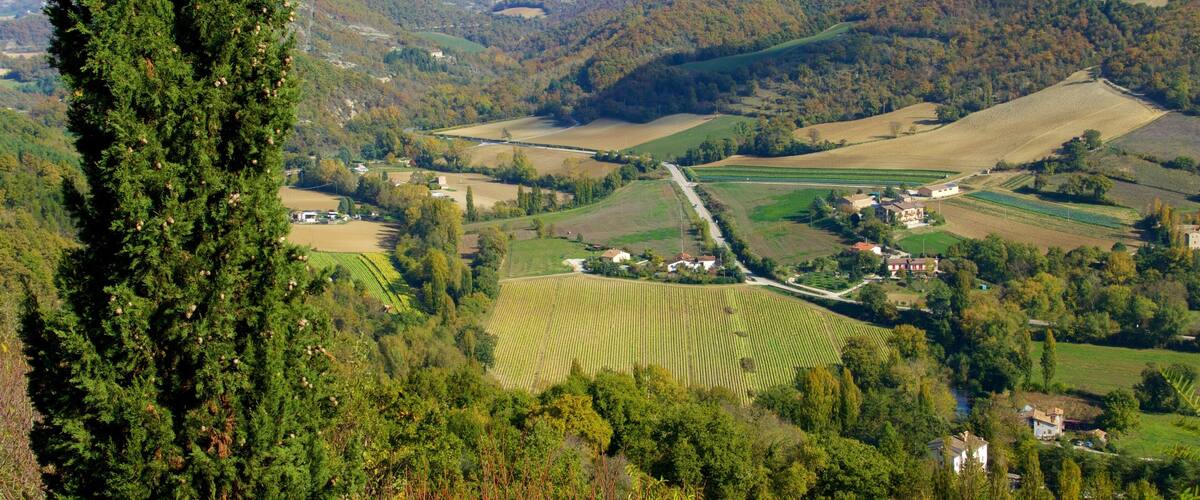 A valley with terraced fields, a winding road, and scattered houses.