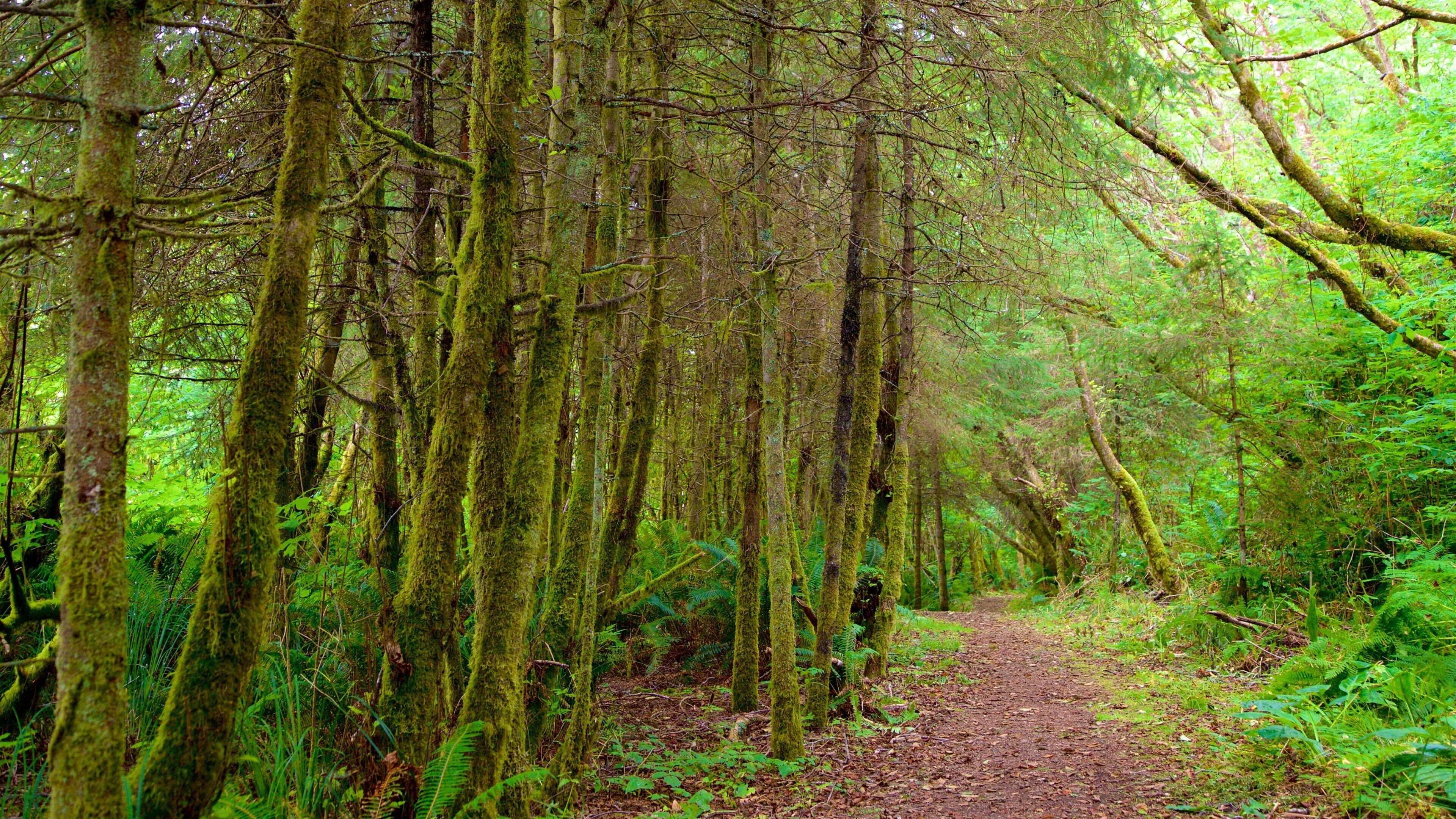 Yurok Loop Trailhead