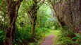 Yurok Loop Trailhead